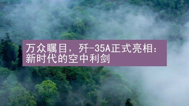 万众瞩目，歼-35A正式亮相：新时代的空中利剑