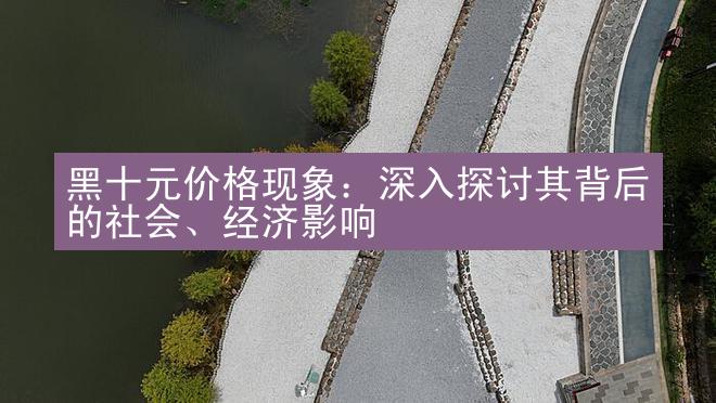 黑十元价格现象：深入探讨其背后的社会、经济影响